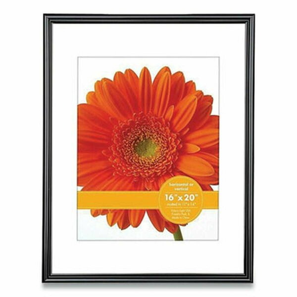 Pulvinar 16 x 20 in. Plastic Poster Frame, Black PU3744744